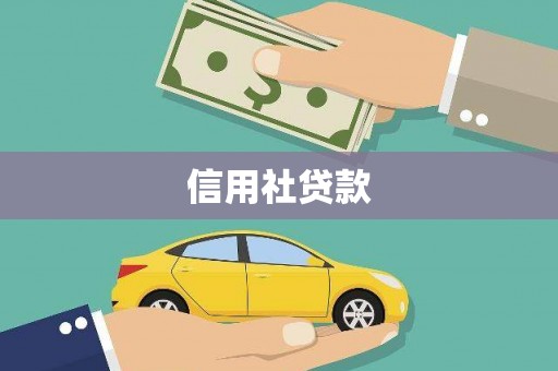 芦淞信用社贷款