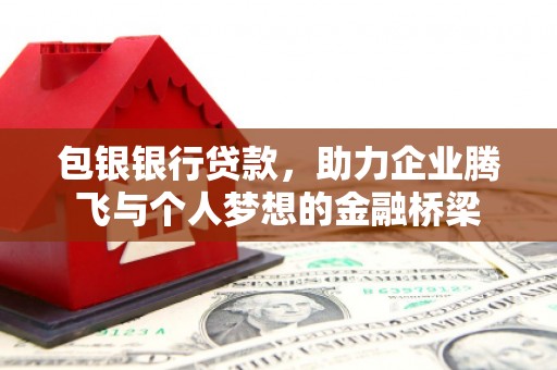 芦淞包银银行贷款，助力企业腾飞与个人梦想的金融桥梁