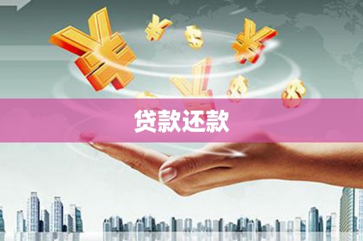 芦淞贷款还款