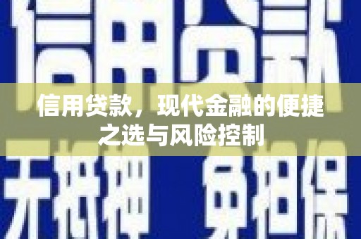 芦淞信用贷款，现代金融的便捷之选与风险控制