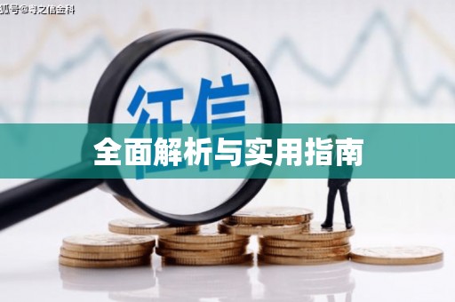 芦淞全面解析与实用指南