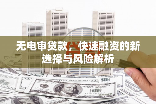 芦淞无电审贷款，快速融资的新选择与风险解析