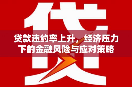 芦淞贷款违约率上升，经济压力下的金融风险与应对策略