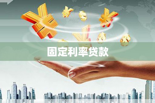 芦淞固定利率贷款
