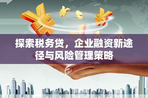 芦淞探索税务贷，企业融资新途径与风险管理策略