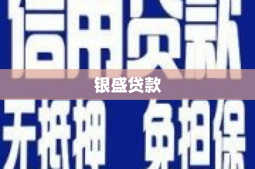 芦淞银盛贷款