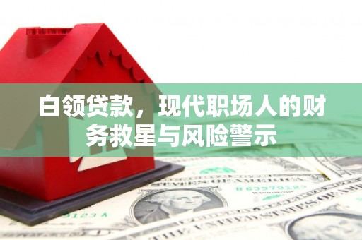 芦淞白领贷款，现代职场人的财务救星与风险警示