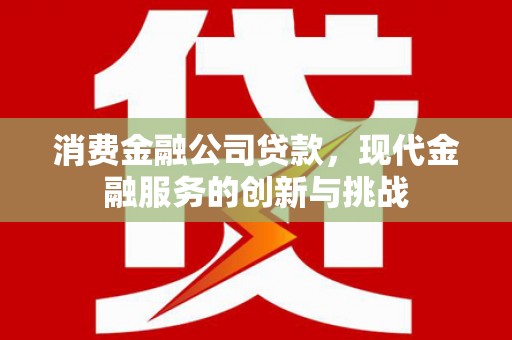 芦淞消费金融公司贷款，现代金融服务的创新与挑战