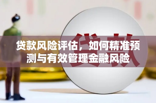 芦淞贷款风险评估，如何精准预测与有效管理金融风险