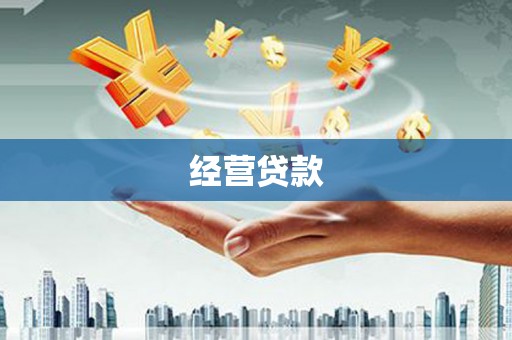 芦淞经营贷款