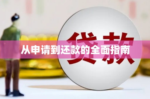 芦淞从申请到还款的全面指南