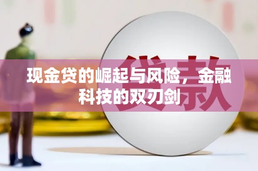芦淞现金贷的崛起与风险，金融科技的双刃剑