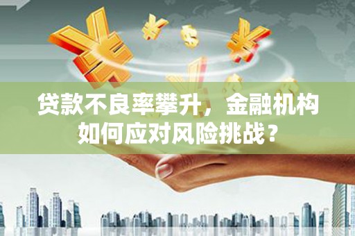 芦淞贷款不良率攀升，金融机构如何应对风险挑战？