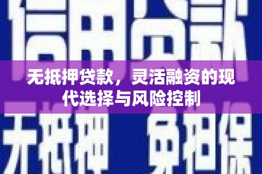 芦淞无抵押贷款，灵活融资的现代选择与风险控制