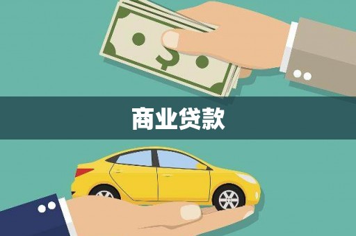 芦淞商业贷款