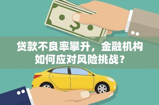 芦淞贷款不良率攀升，金融机构如何应对风险挑战？
