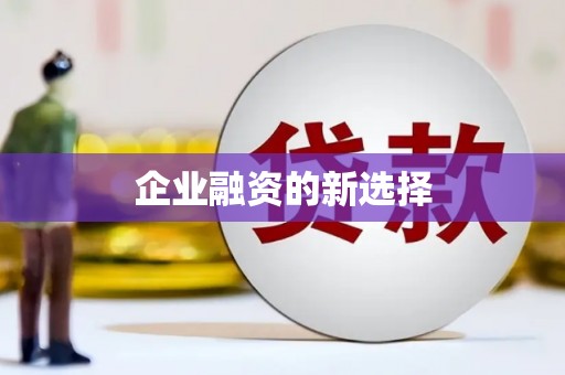 芦淞企业融资的新选择