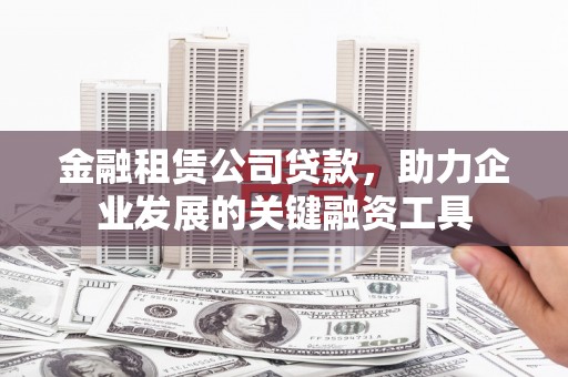 芦淞金融租赁公司贷款，助力企业发展的关键融资工具