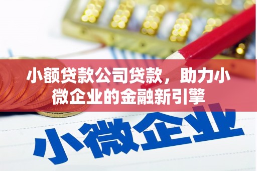 芦淞小额贷款公司贷款，助力小微企业的金融新引擎