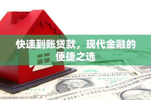 芦淞快速到账贷款，现代金融的便捷之选