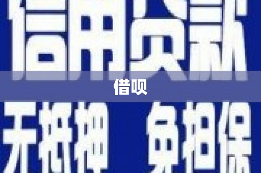 芦淞借呗