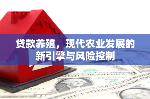 芦淞贷款养殖，现代农业发展的新引擎与风险控制