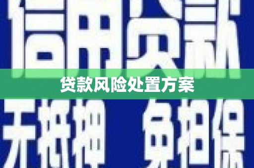 芦淞贷款风险处置方案