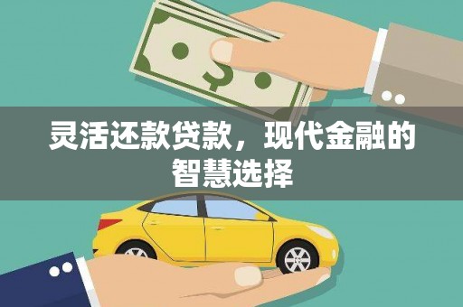 芦淞灵活还款贷款，现代金融的智慧选择