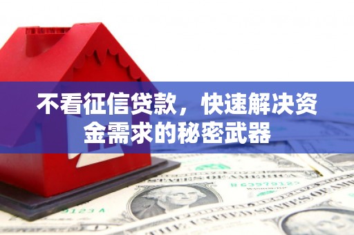 芦淞不看征信贷款，快速解决资金需求的秘密武器