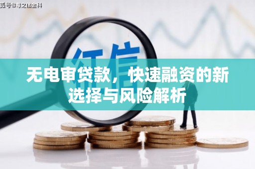芦淞无电审贷款，快速融资的新选择与风险解析