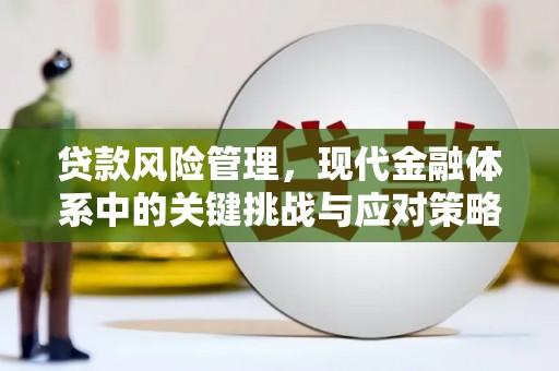 芦淞贷款风险管理，现代金融体系中的关键挑战与应对策略