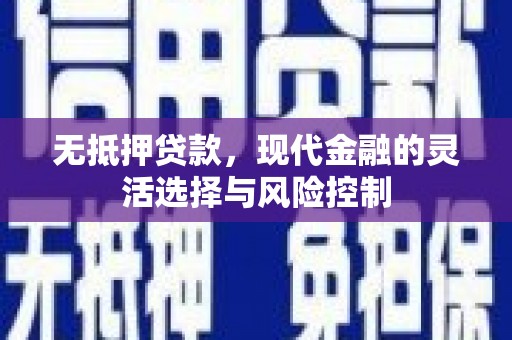 芦淞无抵押贷款，现代金融的灵活选择与风险控制