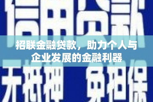 芦淞招联金融贷款，助力个人与企业发展的金融利器