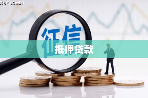 芦淞抵押贷款