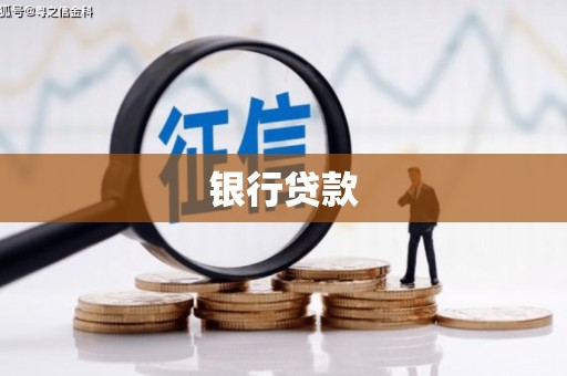 芦淞银行贷款
