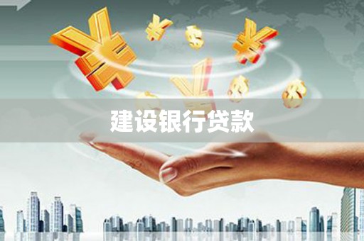 芦淞建设银行贷款