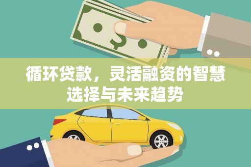 芦淞循环贷款，灵活融资的智慧选择与未来趋势