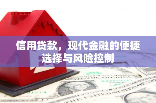 芦淞信用贷款，现代金融的便捷选择与风险控制