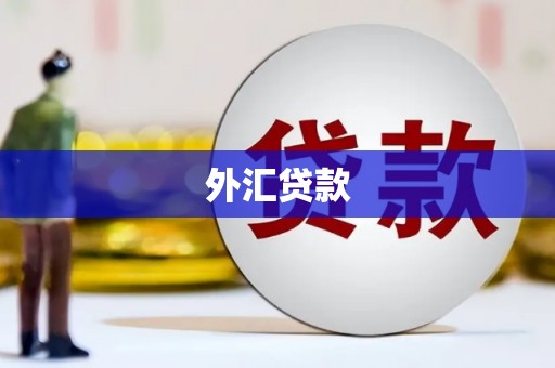 芦淞外汇贷款