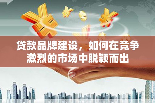 芦淞贷款品牌建设，如何在竞争激烈的市场中脱颖而出