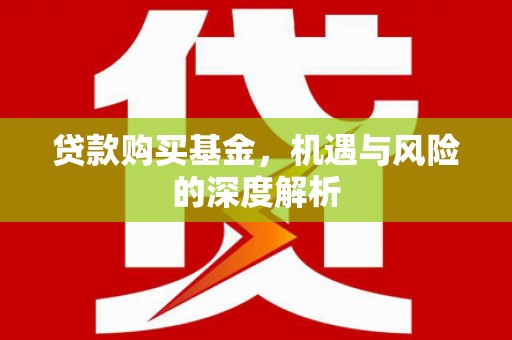芦淞贷款购买基金，机遇与风险的深度解析