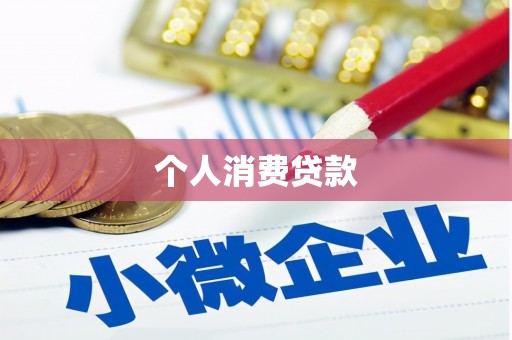 芦淞个人消费贷款