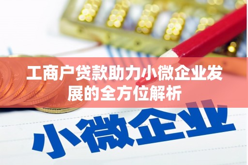 芦淞工商户贷款助力小微企业发展的全方位解析