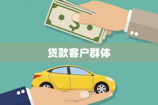 芦淞贷款客户群体