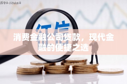 芦淞消费金融公司贷款，现代金融的便捷之选