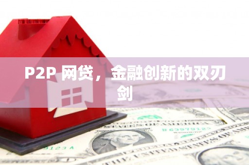芦淞P2P 网贷，金融创新的双刃剑