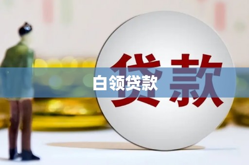 芦淞白领贷款