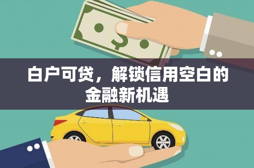 芦淞白户可贷，解锁信用空白的金融新机遇