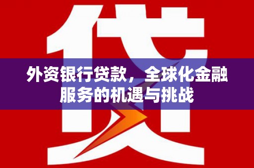 芦淞外资银行贷款，全球化金融服务的机遇与挑战