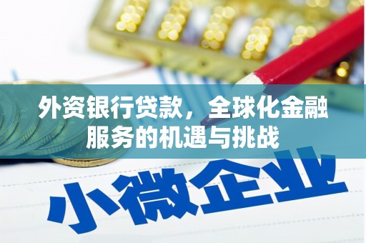 芦淞外资银行贷款，全球化金融服务的机遇与挑战